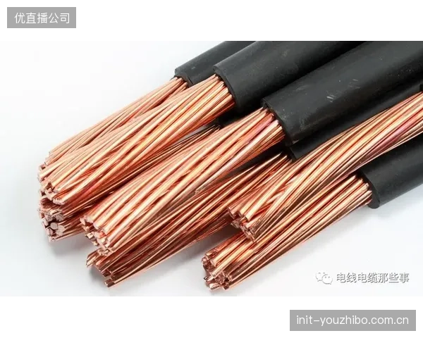 警惕！过度依赖PIM瞬时指标，可能正掩盖电缆绝缘层加速老化的深层风险